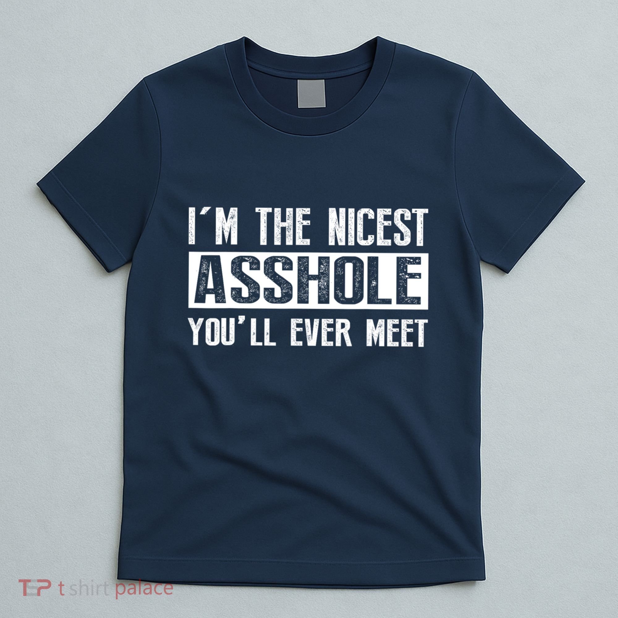 Im The Nicest Asshole Youll Ever Meet Funny Sarcasm T-Shirt