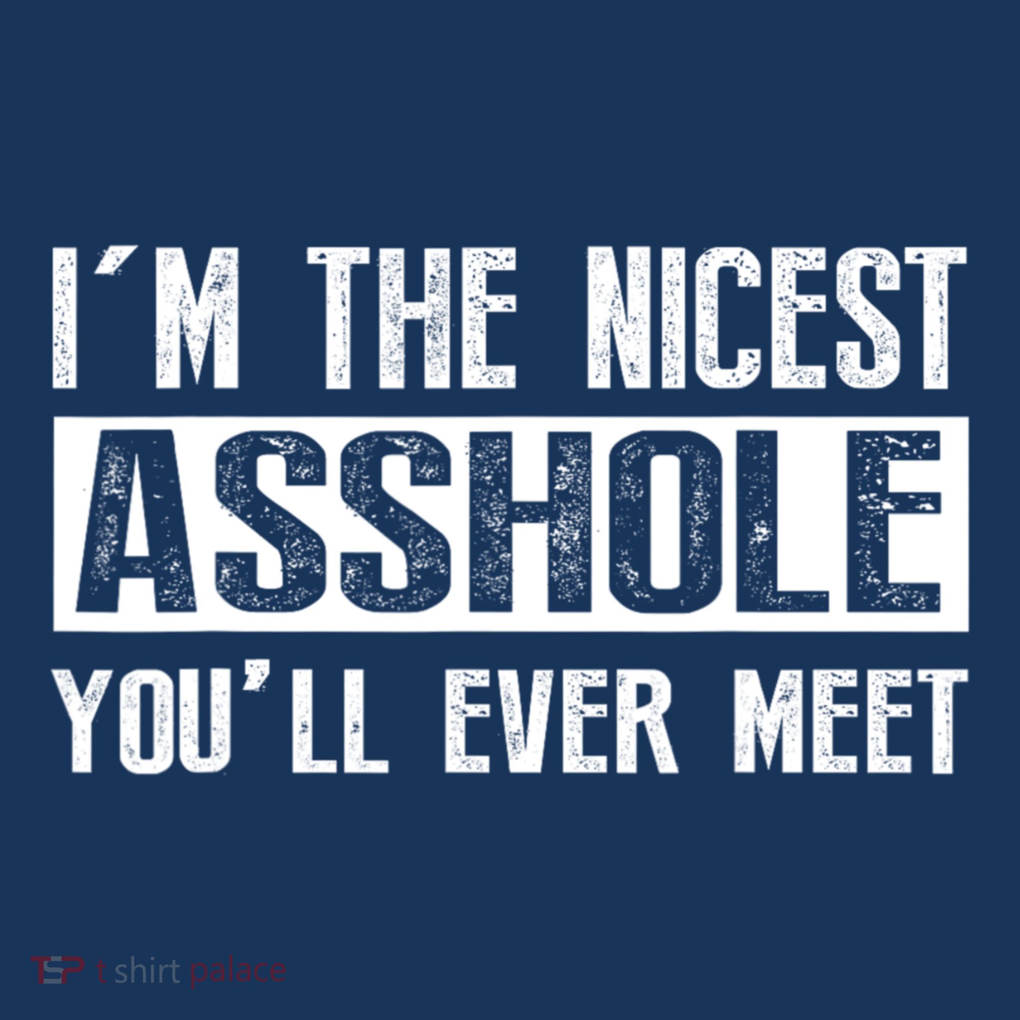 Im The Nicest Asshole Youll Ever Meet Funny Sarcasm Women's Hoodie