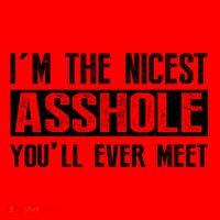 Im The Nicest Asshole Youll Ever Meet Funny Sarcasm Santa Hat thumb 1