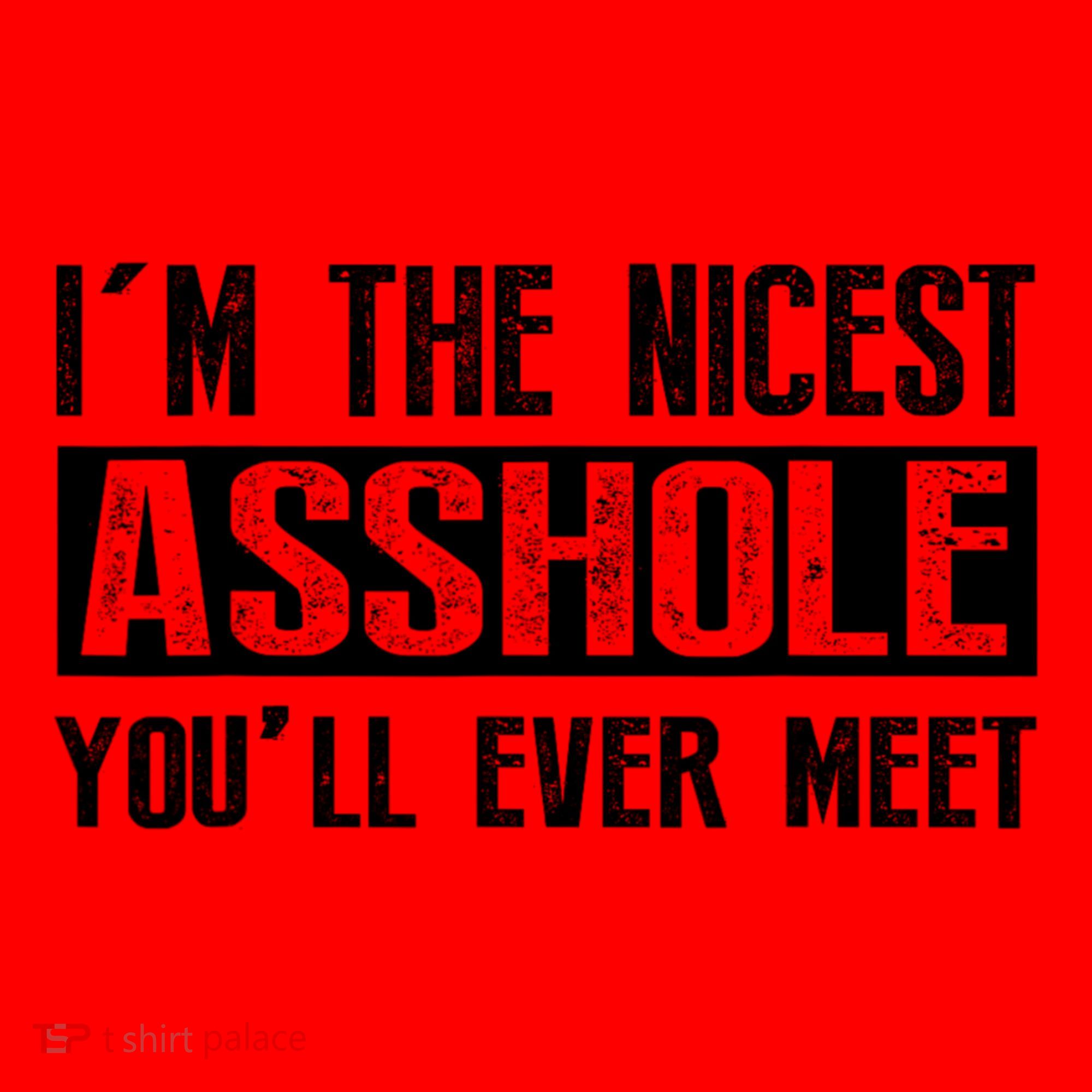 Im The Nicest Asshole Youll Ever Meet Funny Sarcasm Santa Hat