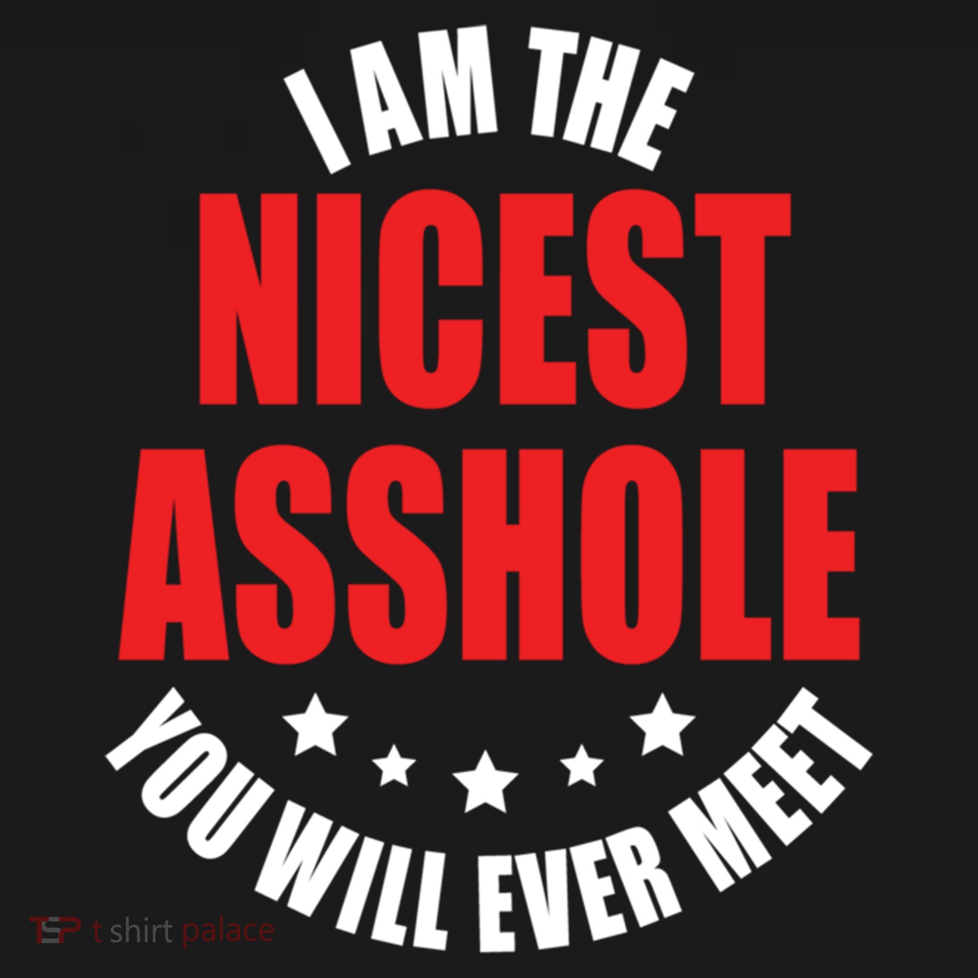 IM The Nicest Asshole YouLl Ever Meet Sarcastic Humor Gift Bucket Hat