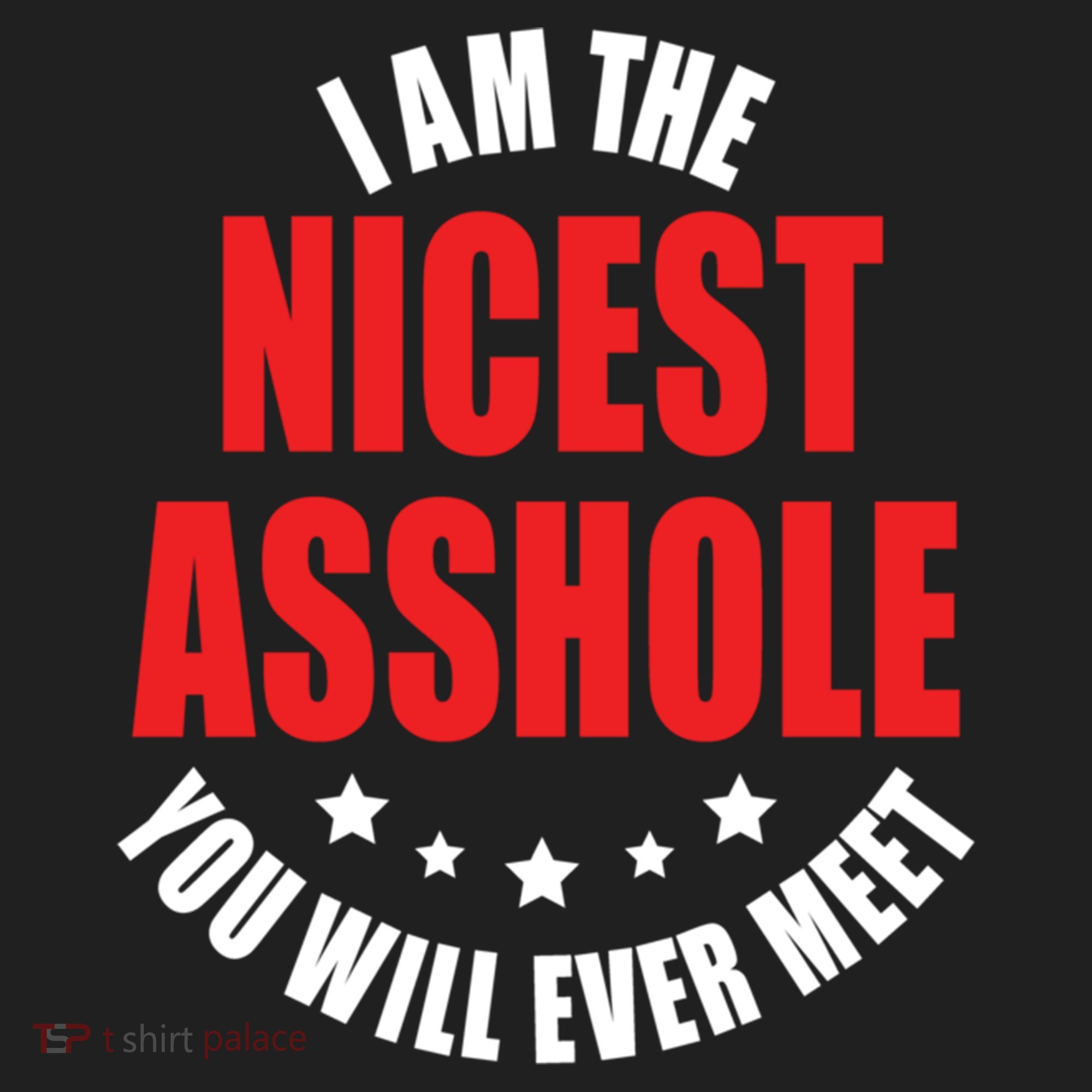 IM The Nicest Asshole YouLl Ever Meet Sarcastic Humor Gift Beanie