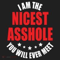 IM The Nicest Asshole YouLl Ever Meet Sarcastic Humor Gift Hat thumb 2