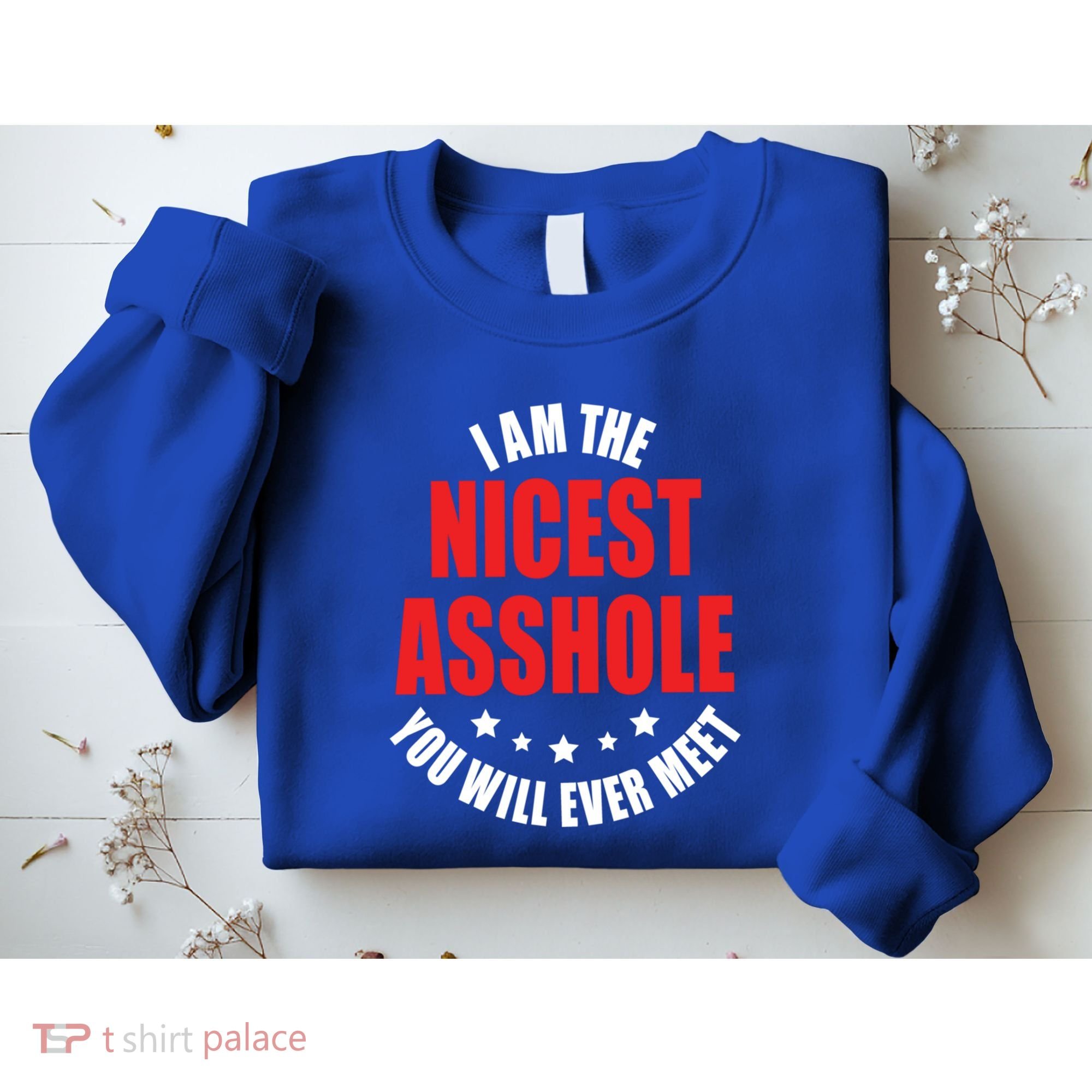 IM The Nicest Asshole YouLl Ever Meet Sarcastic Humor Gift Sweatshirt