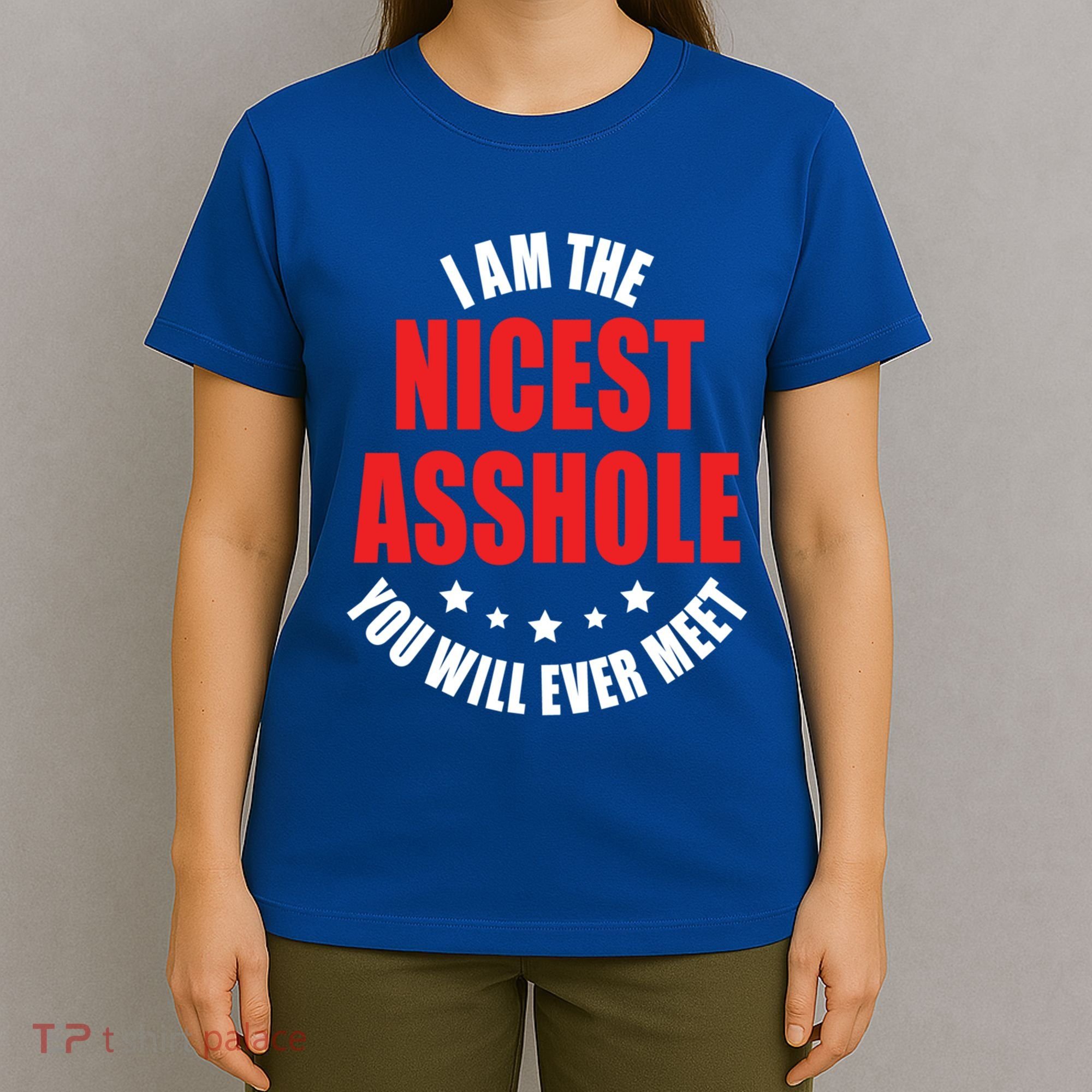 IM The Nicest Asshole YouLl Ever Meet Sarcastic Humor Gift T-Shirt