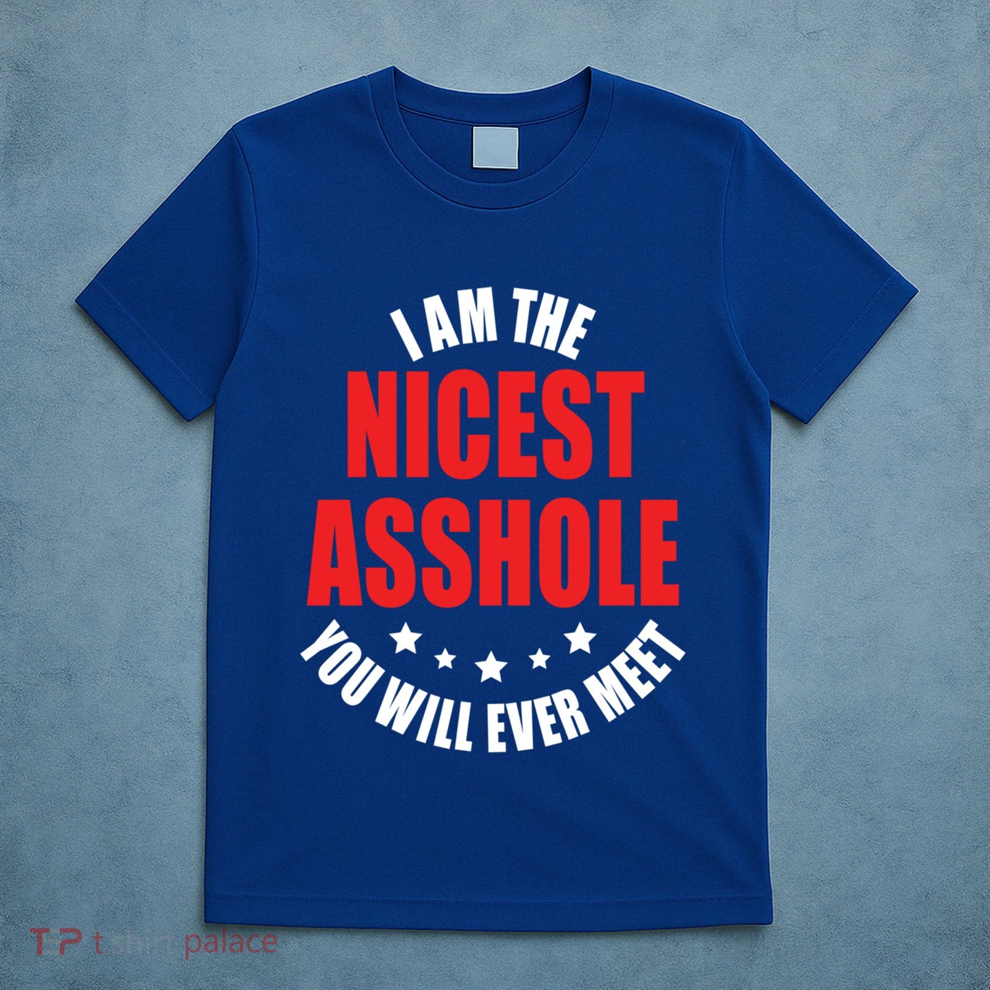 IM The Nicest Asshole YouLl Ever Meet Sarcastic Humor Gift T-Shirt