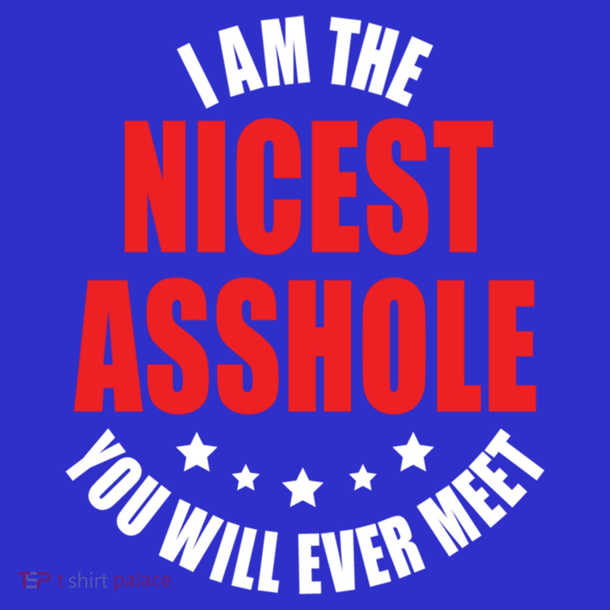 IM The Nicest Asshole YouLl Ever Meet Sarcastic Humor Gift Polo