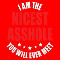 IM The Nicest Asshole YouLl Ever Meet Sarcastic Humor Gift Santa Hat thumb 1