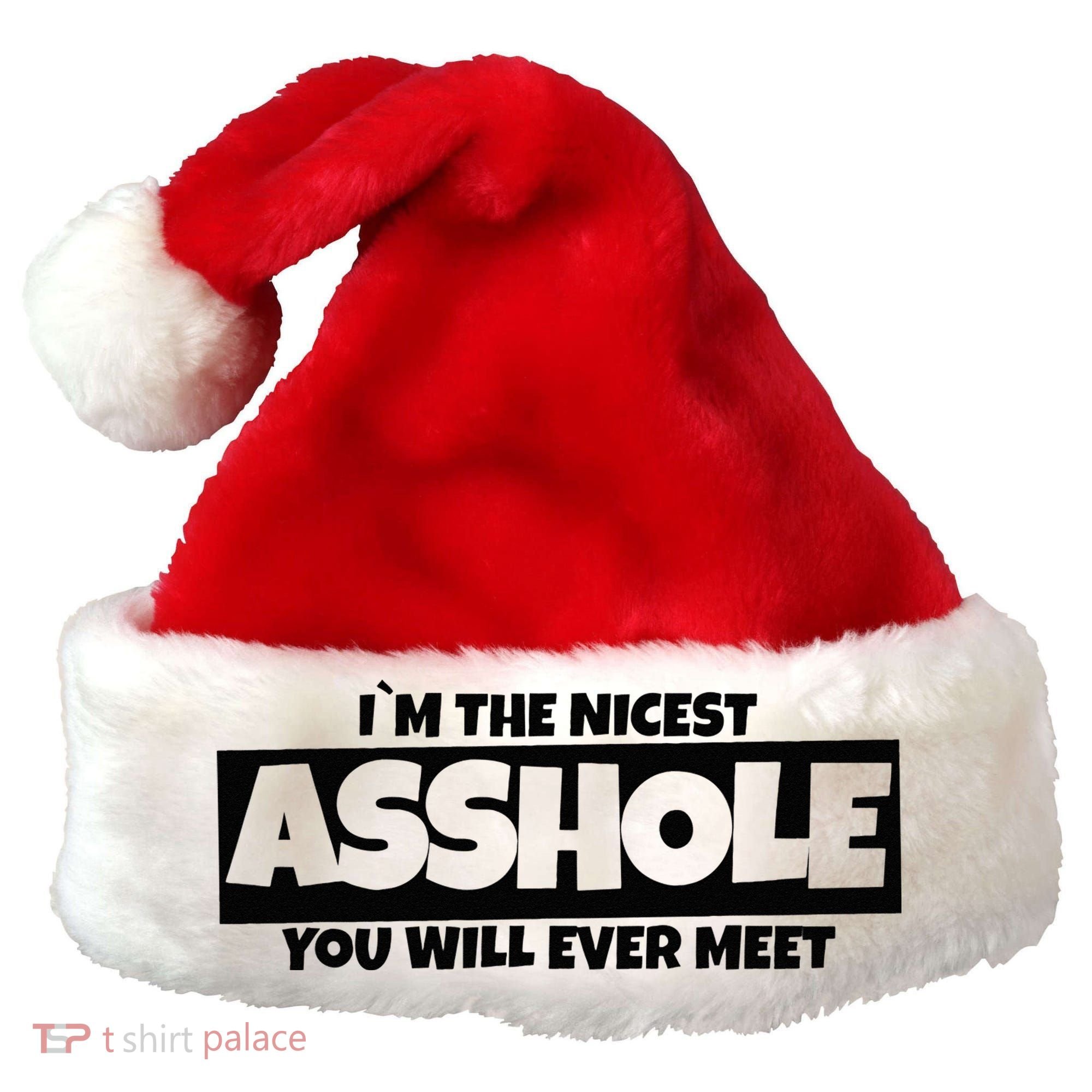Im The Nicest Asshole You Will Ever Meet Santa Hat