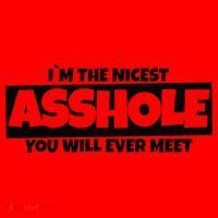 Im The Nicest Asshole You Will Ever Meet Santa Hat thumb 1