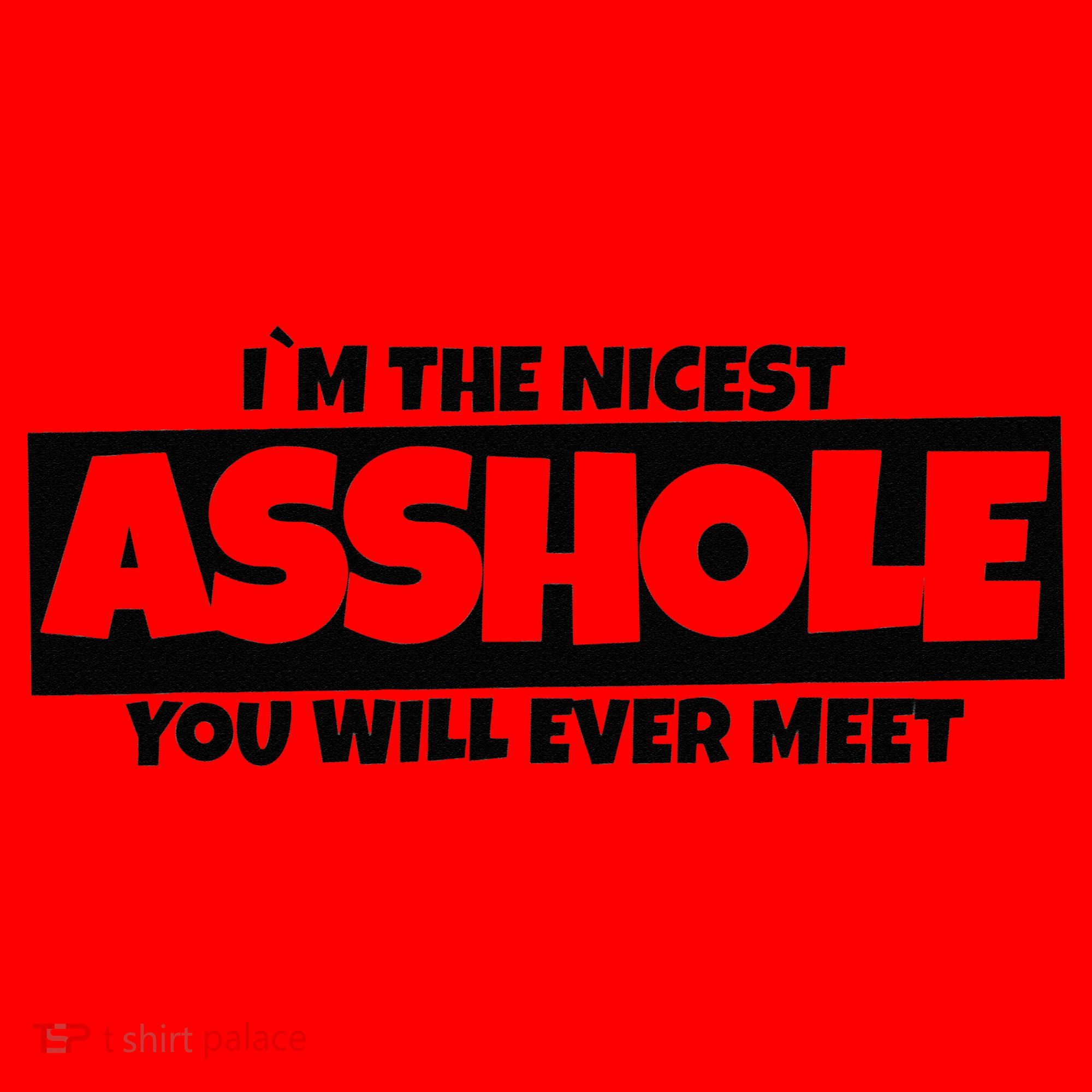 Im The Nicest Asshole You Will Ever Meet Santa Hat