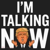 IM Talking Now Trump 2024 President Trump 2024 Beanie thumb 2
