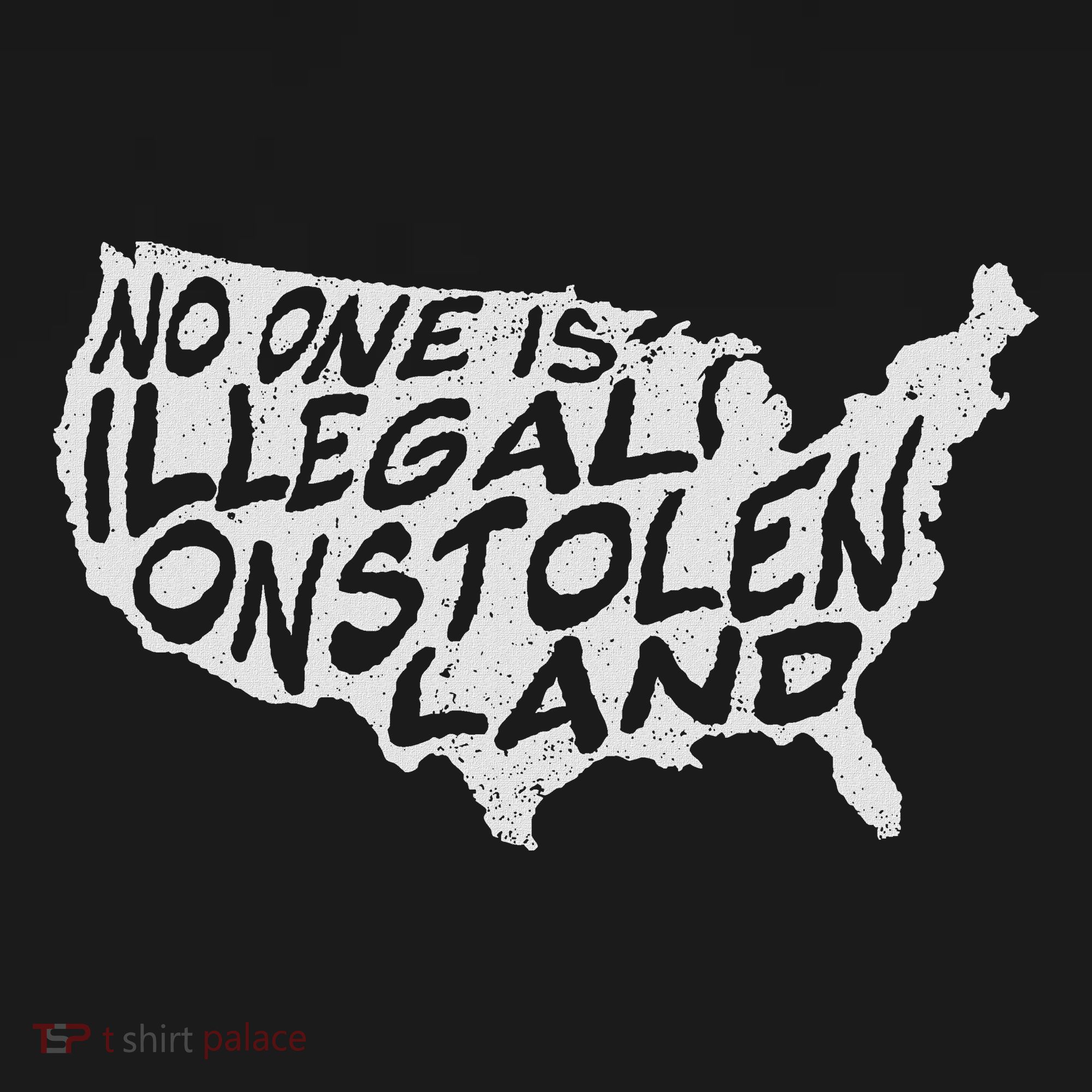 Immigrant T No One Is Illegal On Stolen Land Kids T-Shirt