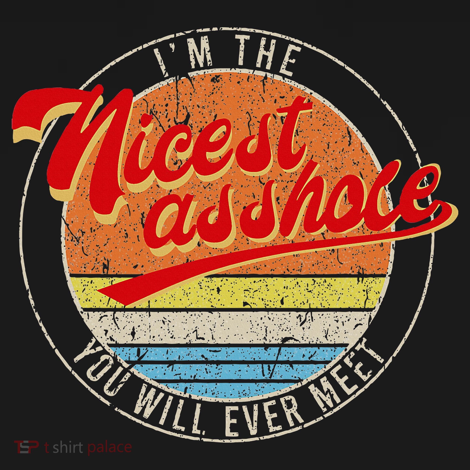 I'm The Nicest Asshole You'll Ever Meet Funny Saying Hoodie