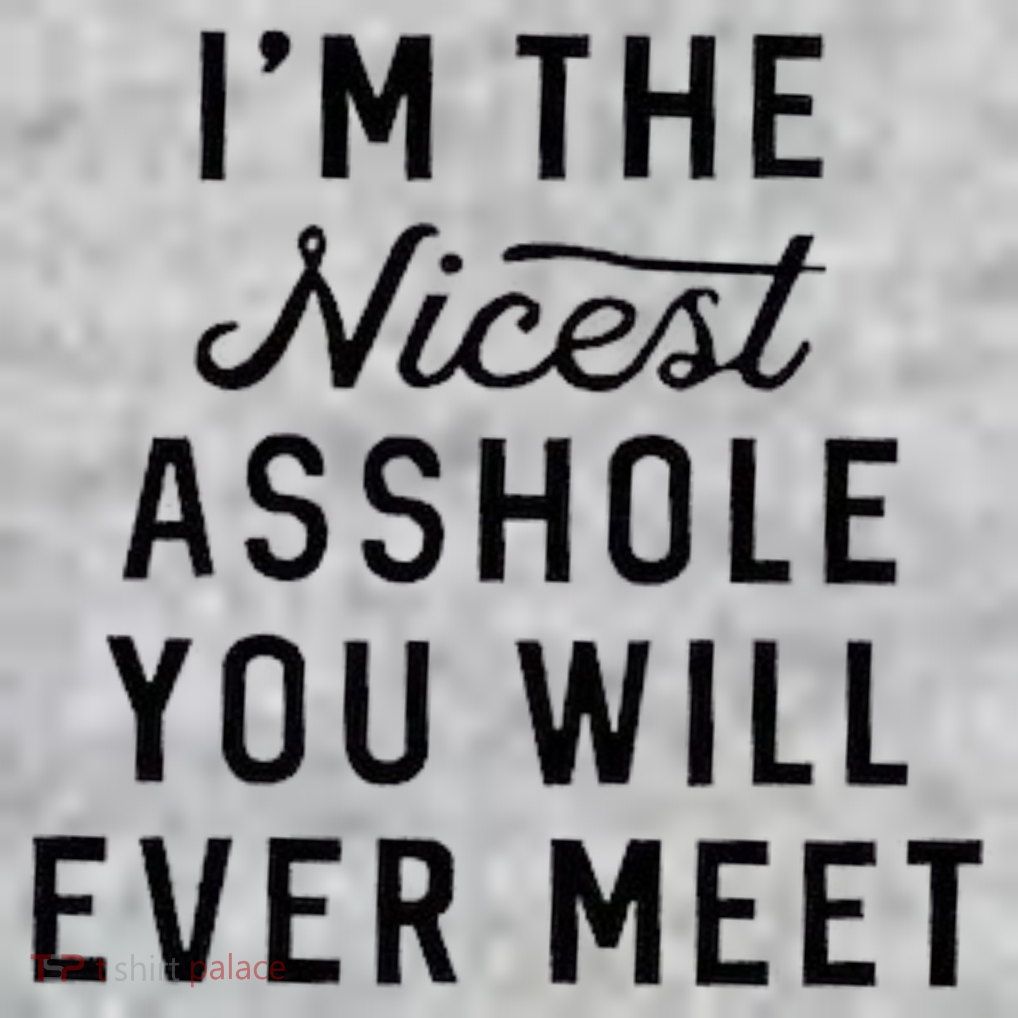 I'm The Nicest Asshole You Will Ever Meet Sweatshirt