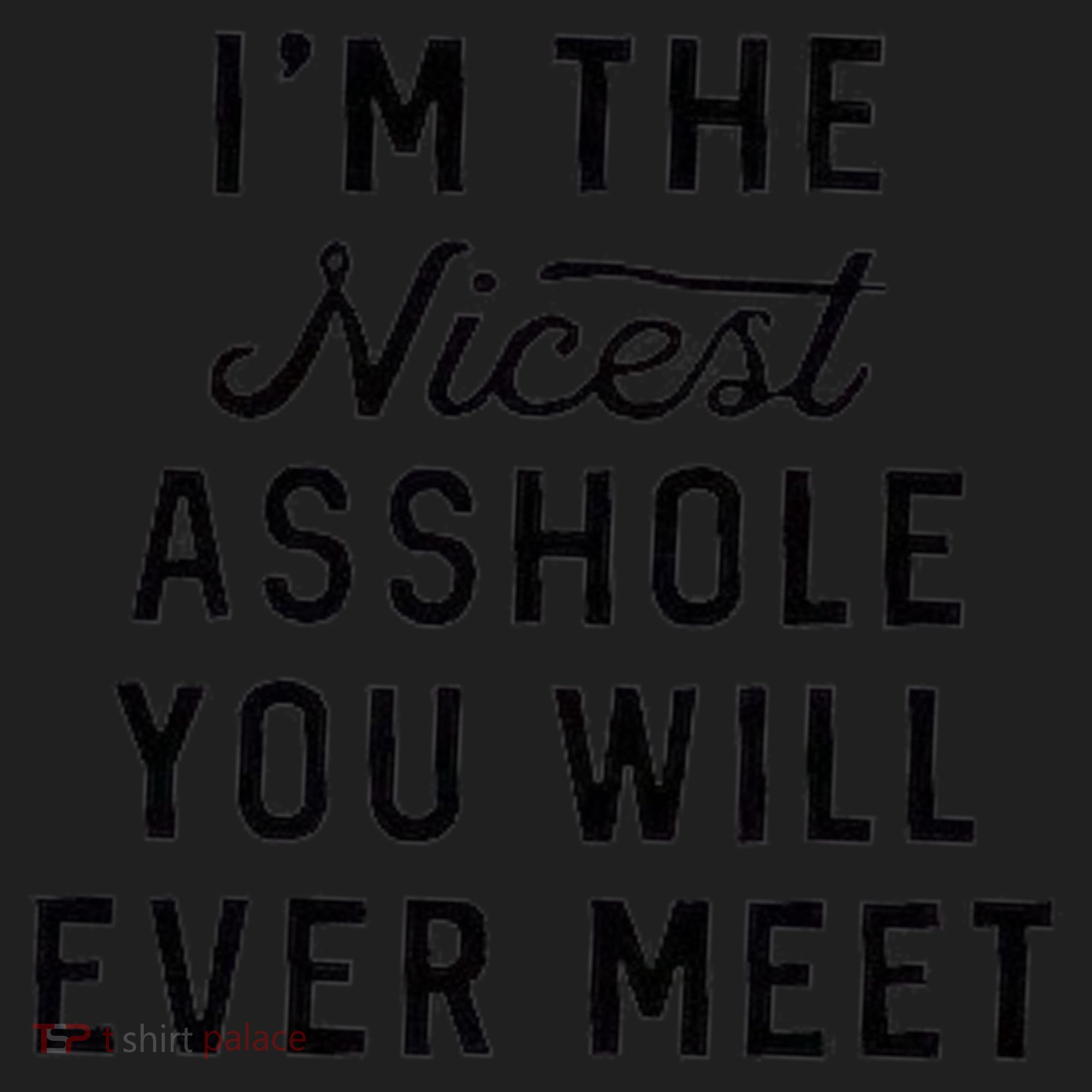 I'm The Nicest Asshole You Will Ever Meet Hat