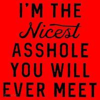 I'm The Nicest Asshole You Will Ever Meet Santa Hat thumb 1