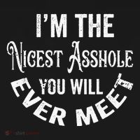 Im The Nicest Asshole You Will Ever Meet Funny Sarcastic Women's Hoodie thumb 2