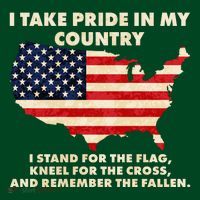 I Take Pride In My Country Distressed USA American Flag Map Sweatshirt thumb 3