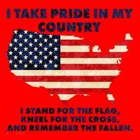 I Take Pride In My Country Distressed USA American Flag Map Santa Hat thumb 1
