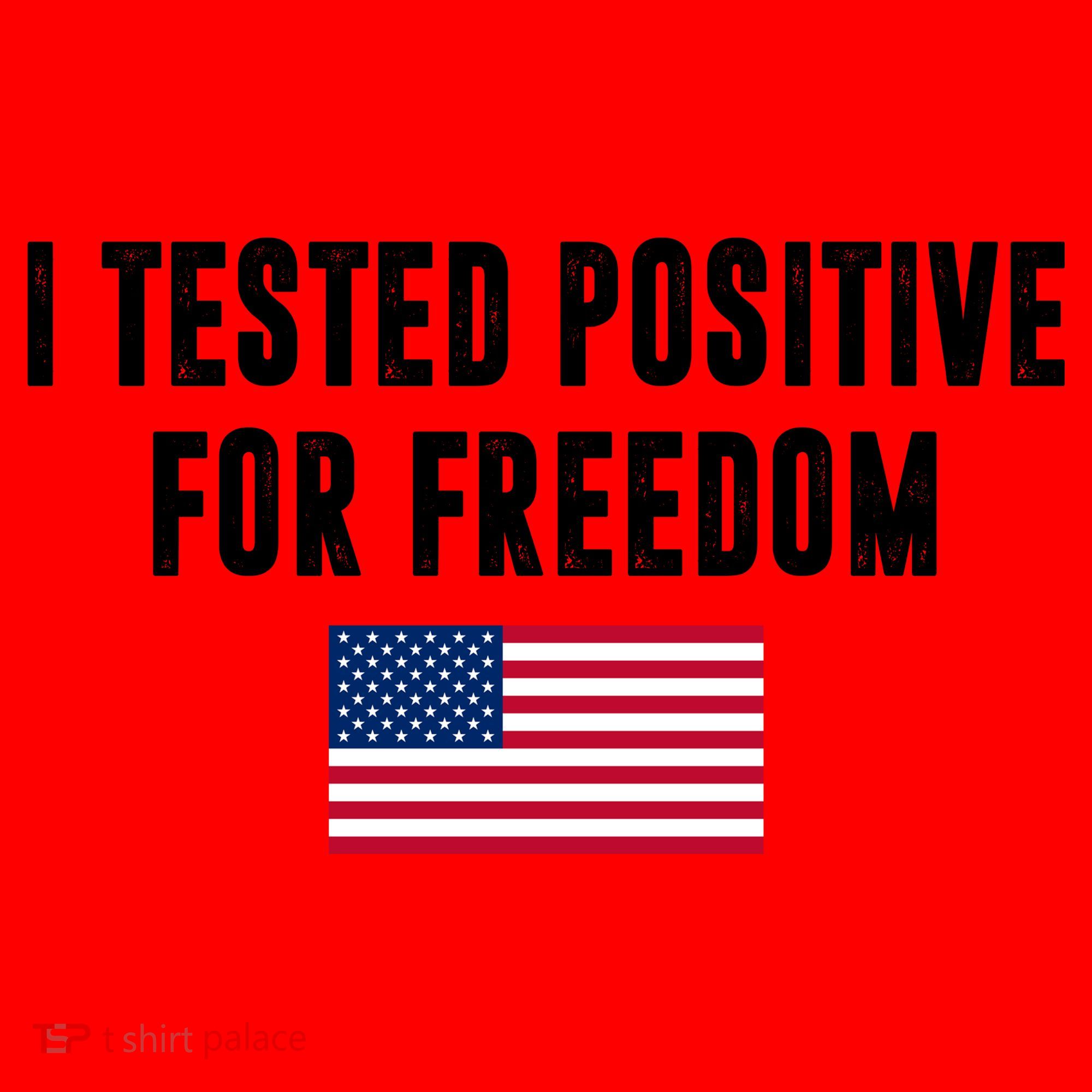 I Test Positive For Freedom USA Santa Hat