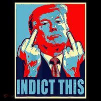 Indict This Pro Donald Trump Funny Ornament thumb 1