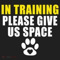 In Training Please Give Us Space Dog Training Dog Trainers Funny Gift Women's Sweatshirt thumb 2