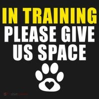 In Training Please Give Us Space Dog Training Dog Trainers Funny Gift USA-Made Doggie Bandana thumb 2