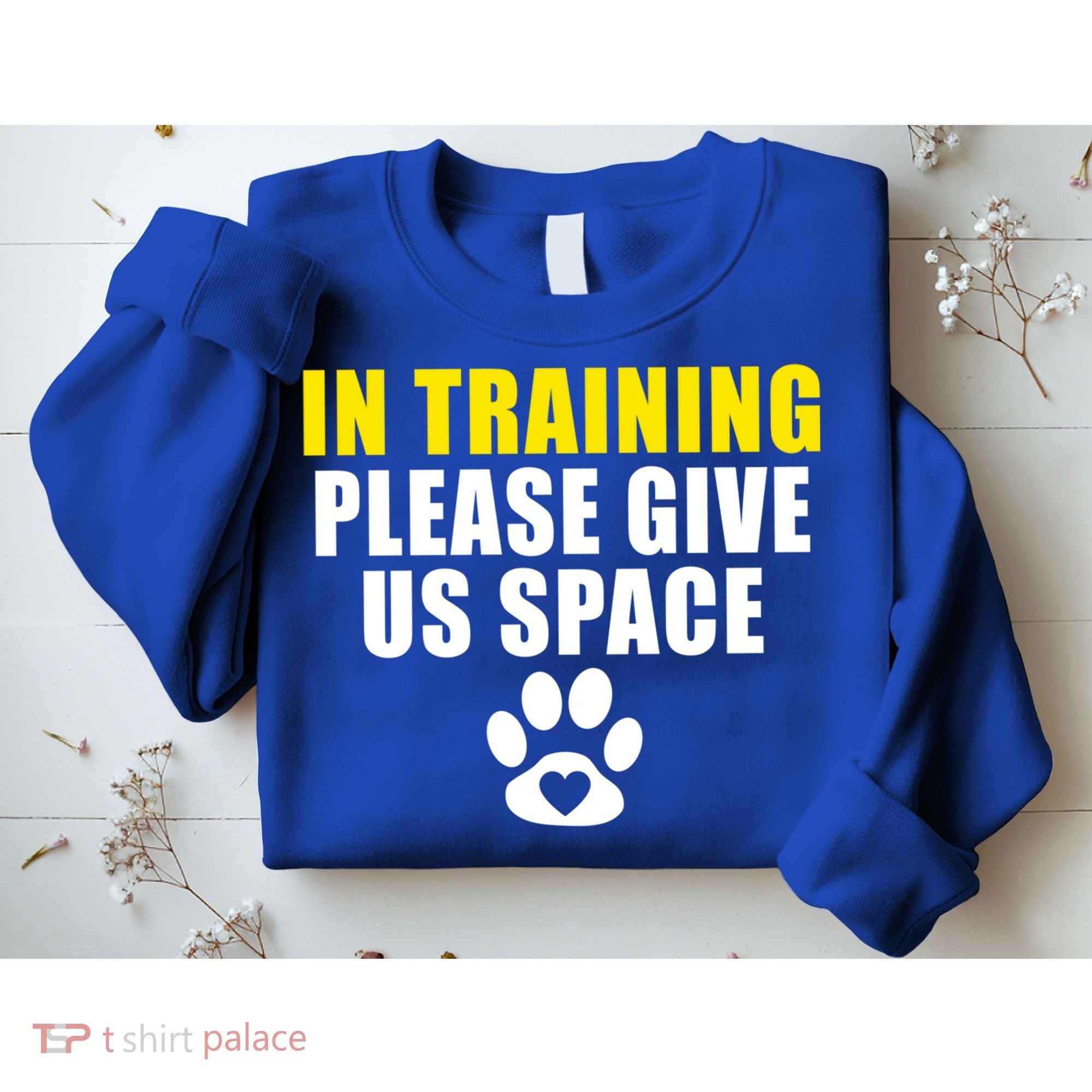 In Training Please Give Us Space Dog Training Dog Trainers Funny Gift Sweatshirt