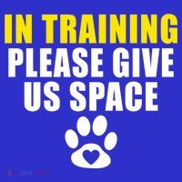 In Training Please Give Us Space Dog Training Dog Trainers Funny Gift Kids Hoodie thumb 5