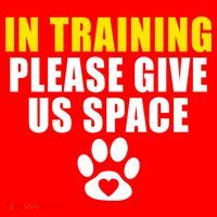 In Training Please Give Us Space Dog Training Dog Trainers Funny Gift Santa Hat thumb 1