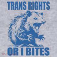 Inclusive Tran Rights Or I Bites Women's Sweatshirt thumb 2