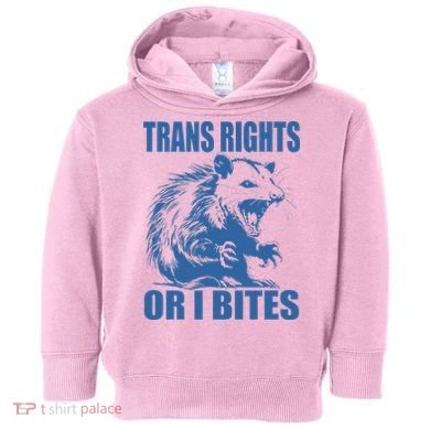 Inclusive Tran Rights Or I Bites Toddler Hoodie