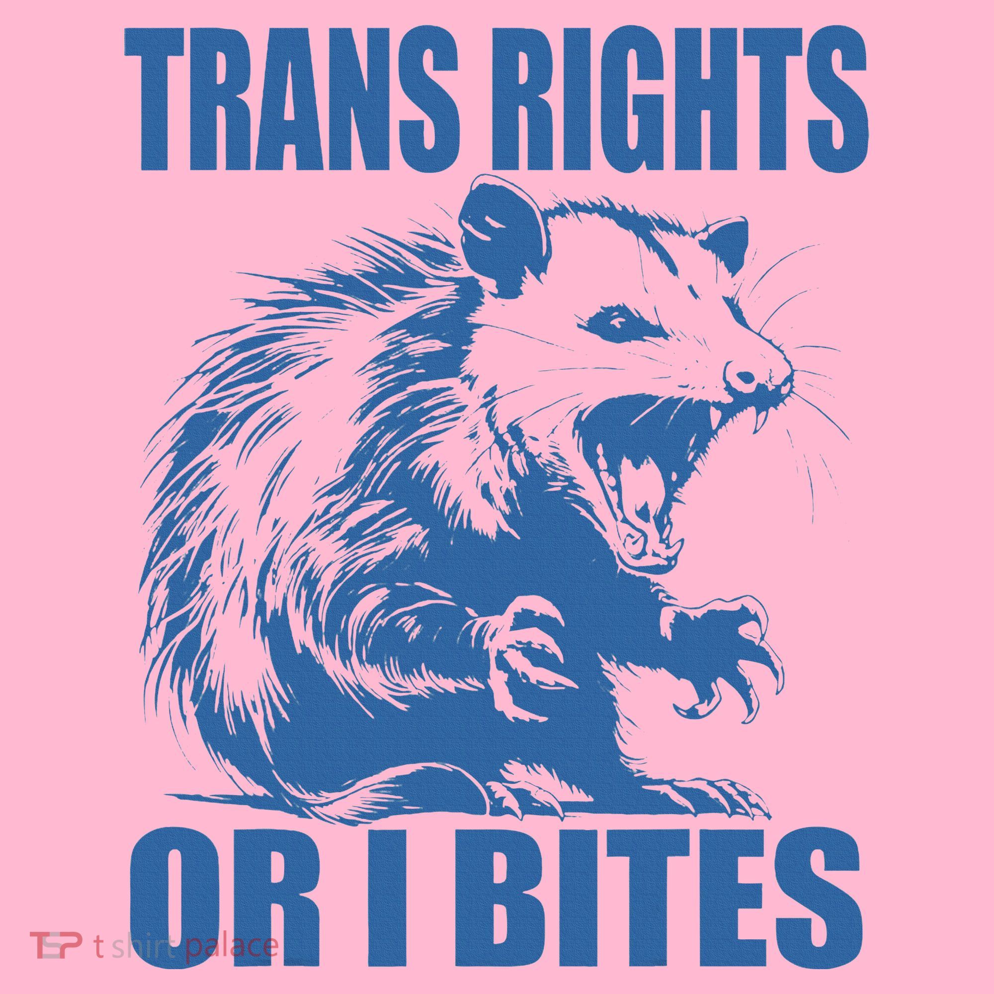 Inclusive Tran Rights Or I Bites Toddler Hoodie
