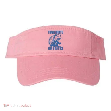 Visor