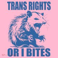 Inclusive Tran Rights Or I Bites Kids Long Sleeve Shirt thumb 2