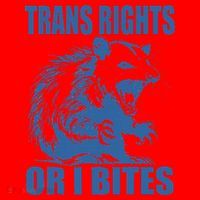 Inclusive Tran Rights Or I Bites Santa Hat thumb 1