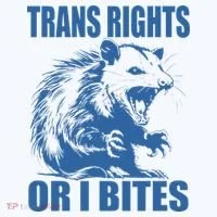 Inclusive Tran Rights Or I Bites Bucket Hat thumb 4