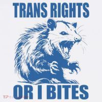 Inclusive Tran Rights Or I Bites Women's Hoodie thumb 2