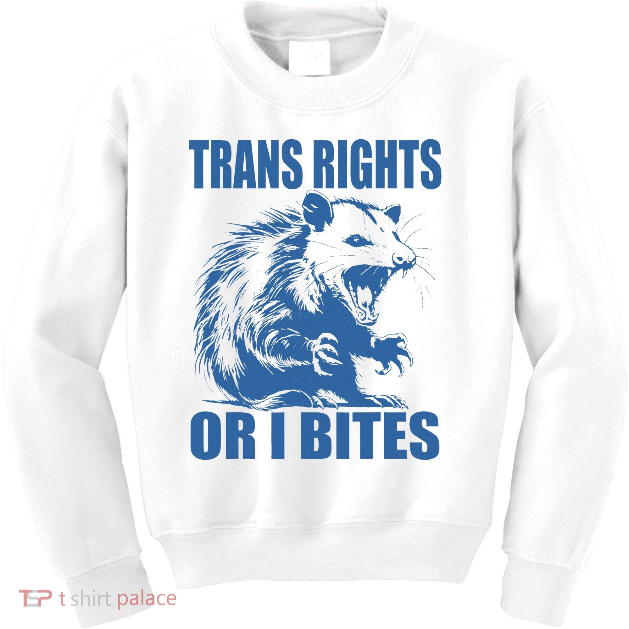 Inclusive Tran Rights Or I Bites Kids Sweatshirt