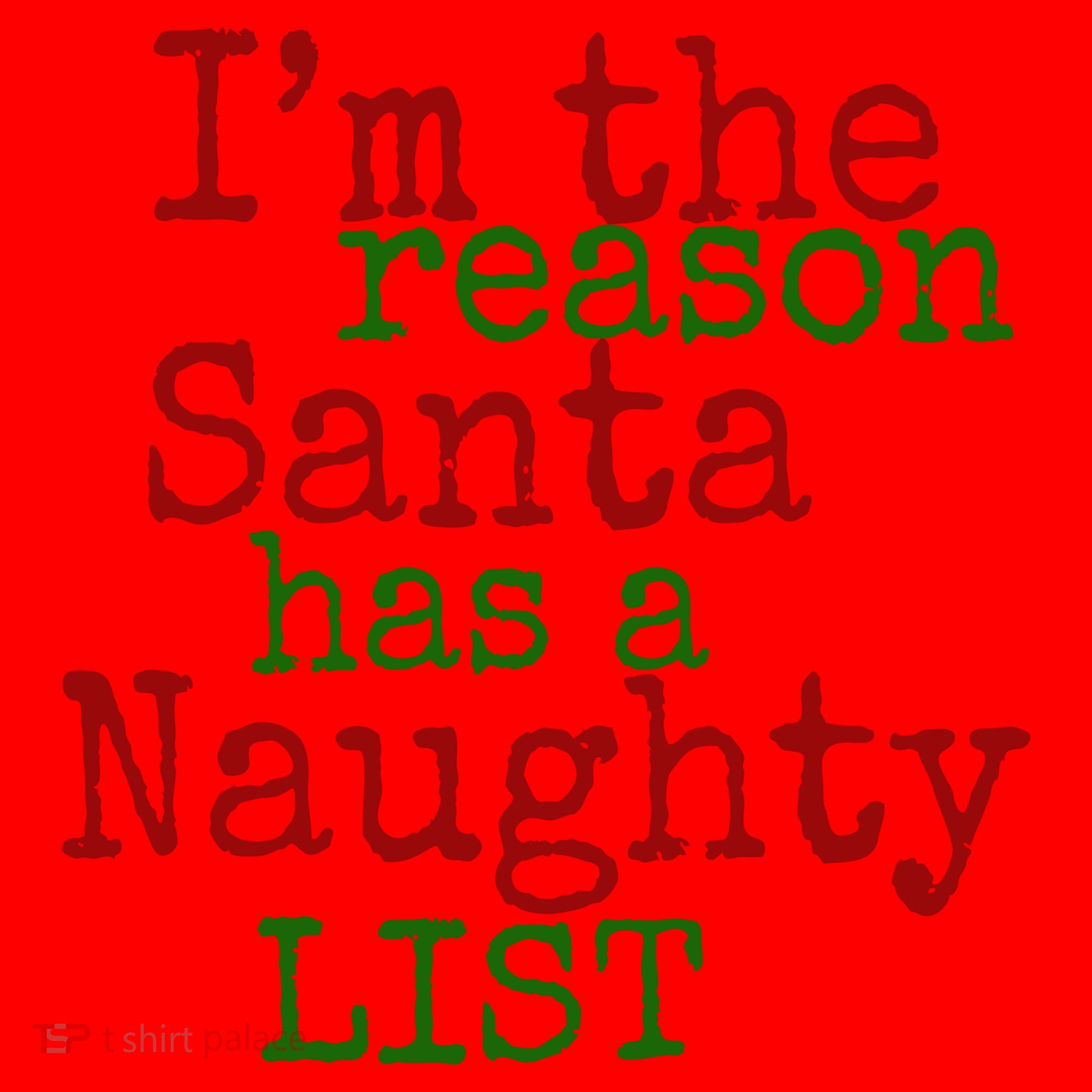 Im The Reason Santa Has A Naughty List Funny Holiday Santa Hat