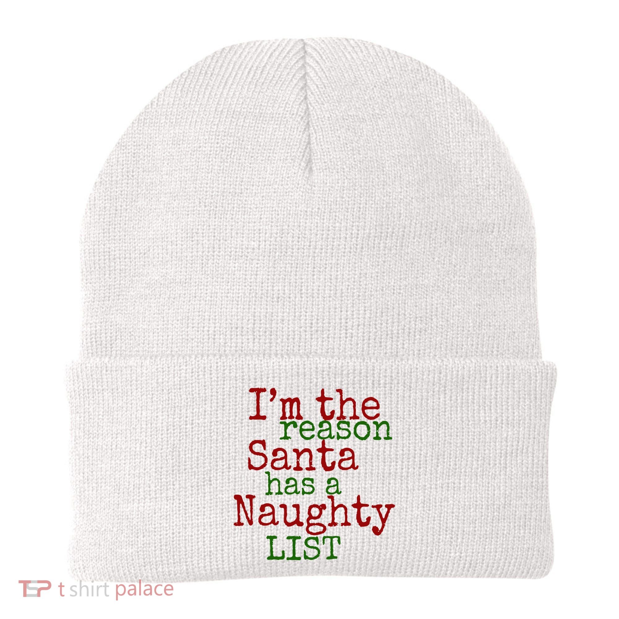 Im The Reason Santa Has A Naughty List Funny Holiday Beanie