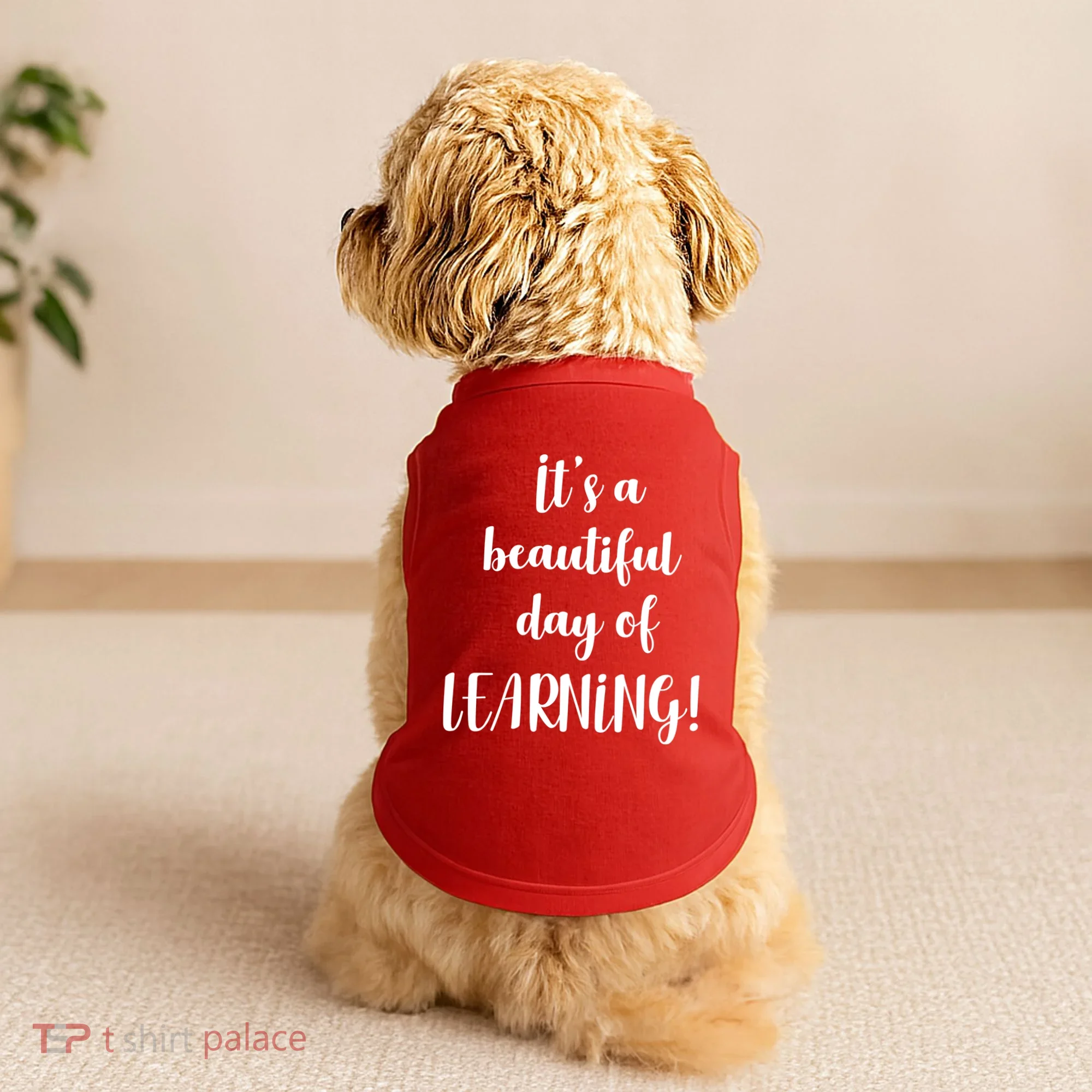 It's A Beautiful Day Of Learning! Doggie Tank