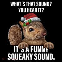 It's A Funny Squeaky Sound Christmas Squirrel Women's Tank Top thumb 5