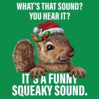 It's A Funny Squeaky Sound Christmas Squirrel Women's Long Sleeve Shirt thumb 2