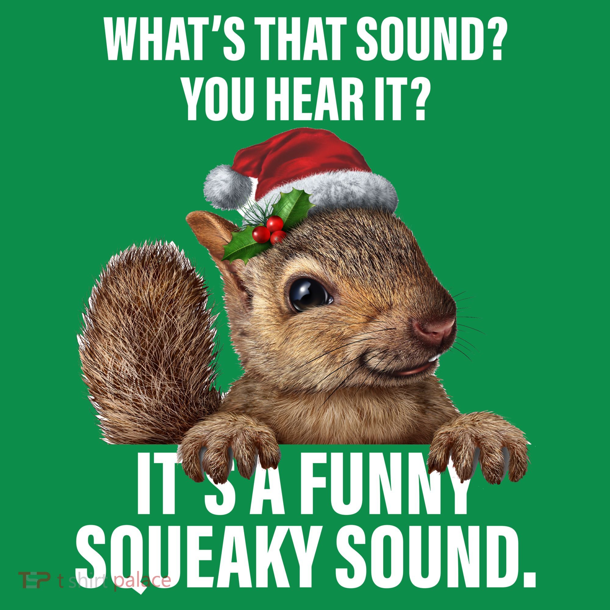 It's A Funny Squeaky Sound Christmas Squirrel Kids T-Shirt