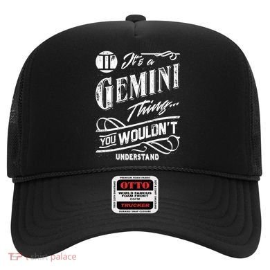 It's a Gemini Thing Zodiac Sign Horoscope Hat