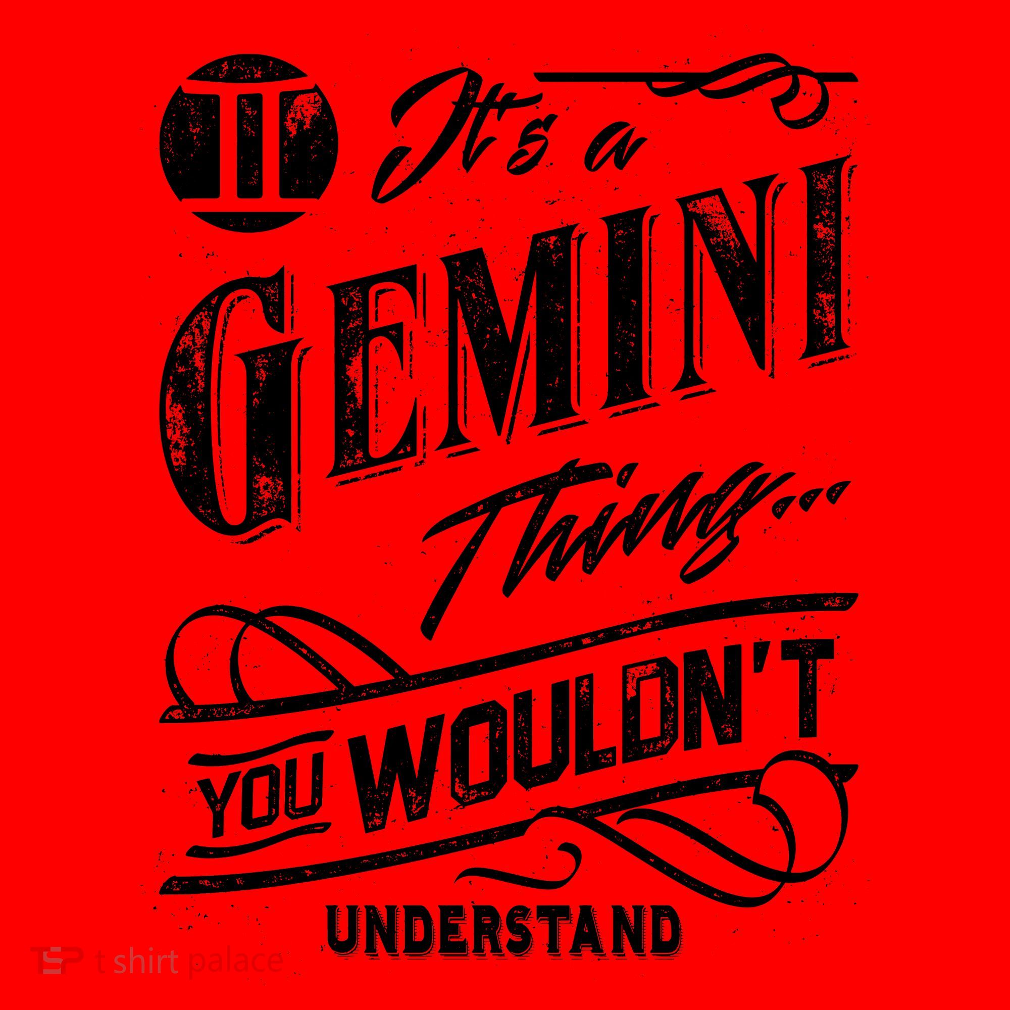 It's a Gemini Thing Zodiac Sign Horoscope Santa Hat