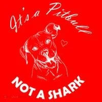 It's A Pitbull Not A Shark Hoodie thumb 2