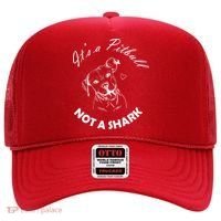 It's A Pitbull Not A Shark Hat thumb 0